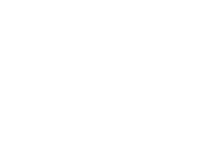 logos-white_0000_logo-brain-behavior-white